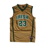 Camiseta St. Vincent-St. Mary LeBron James #23 Oro