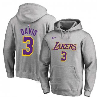 Sudaderas con Capucha Anthony Davis Los Angeles Lakers Gris