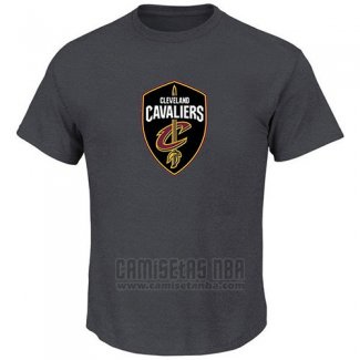 Camiseta Manga Corta Cleveland Cavaliers Gris2