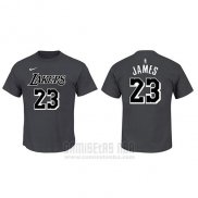 Camiseta Manga Corta Lebron James Los Angeles Lakers Gris2