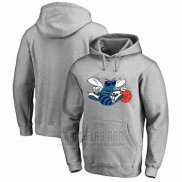 Sudaderas con Capucha Charlotte Hornets Gris3