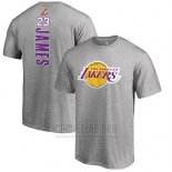 Camiseta Manga Corta Lebron James Los Angeles Lakers Gris