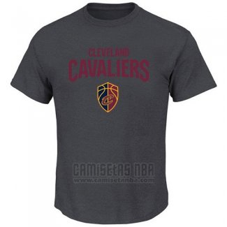 Camiseta Manga Corta Cleveland Cavaliers Gris