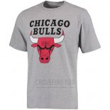 Camiseta Manga Corta Chicago Bulls Gris