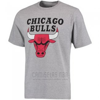 Camiseta Manga Corta Chicago Bulls Gris
