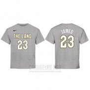 Camiseta Manga Corta Lebron James Cleveland Cavaliers Gris Ciudad