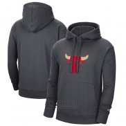 Sudaderas con Capucha Chicago Bulls Ciudad 2020-21 Gris