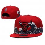 Gorra Chicago Bulls Azul Rojo