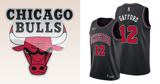 Camisetas nba Chicago Bulls